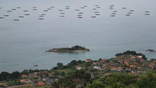 Cielo Y Mar