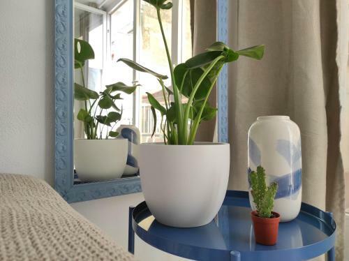 Apartamento Oliva