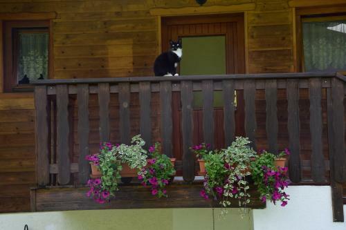 Apartamento Schmalzgrubengut