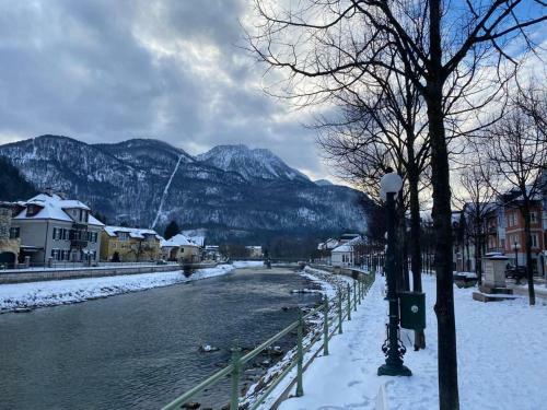 Apartamento Ferienappartment Zum Gr�nen Hirsch