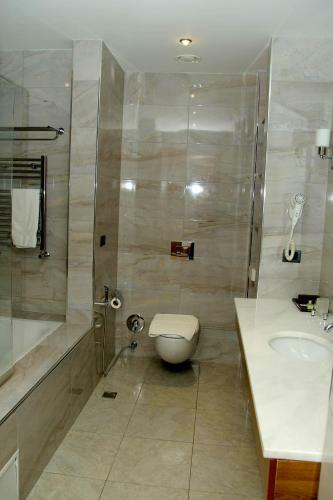 Hotel Sheki Olimp Villa