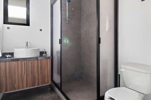 Apartamento +ms +loft Inigualable +c�modo +internet 119d