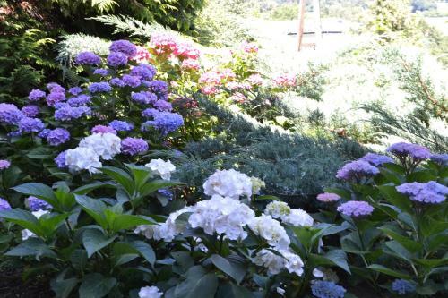 Hostal G�stehaus Pfisterer