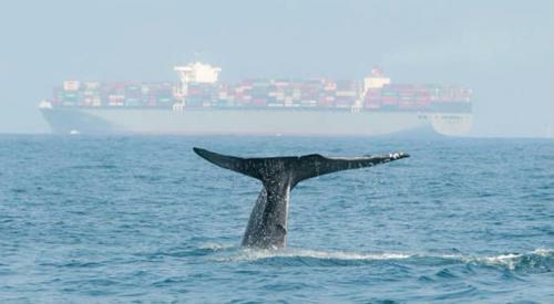 Hostal Rainbow Land Inn