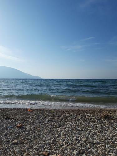 Apartamento Villa Fredi