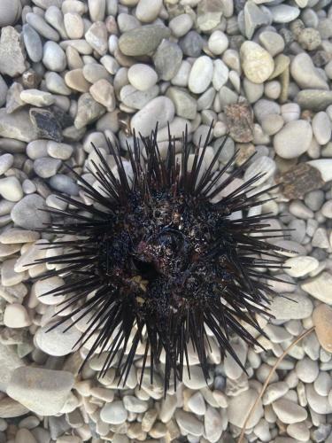 Apartamento Villa Fredi