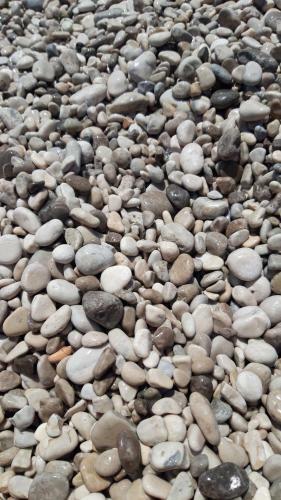 Apartamento Villa Fredi