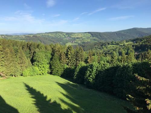 Superior Apartment Bellevue