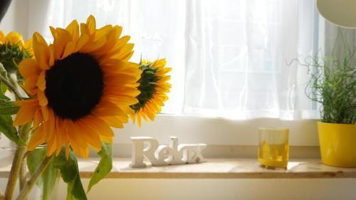 Apartamento Relax Aachener Board Appartements Phase 4