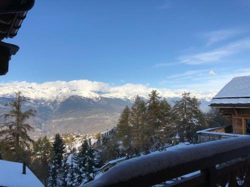 Chalet Les Bonheurs