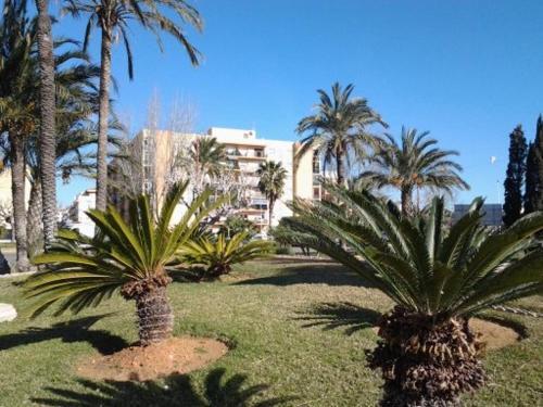 Apartamento Primera L�nea En Playa Sur. Plaza Constituci�n