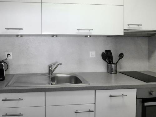Apartment Derborence 28
