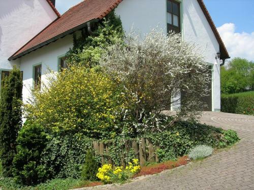 Hostal Pension Roseng�rtchen