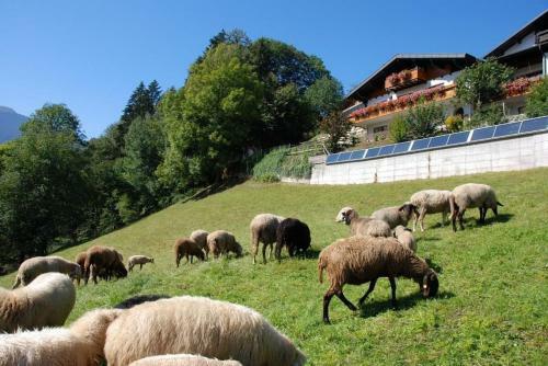 Apartamento Haus Marent