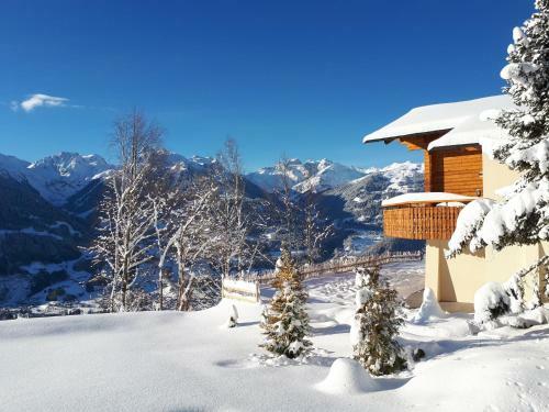 Panorama Chalet Montafon