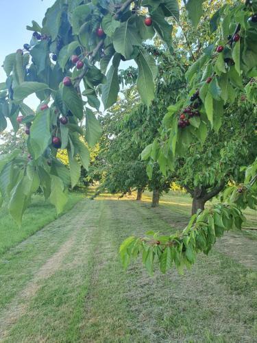 Apartamento Quiet Place