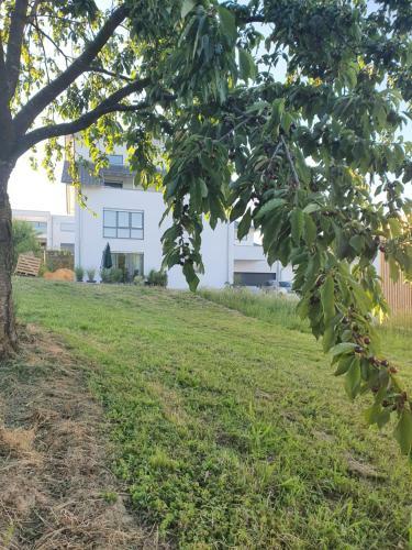 Apartamento Quiet Place