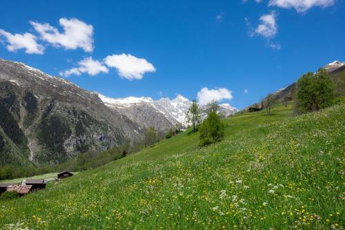 Apartamento Chalet Orion