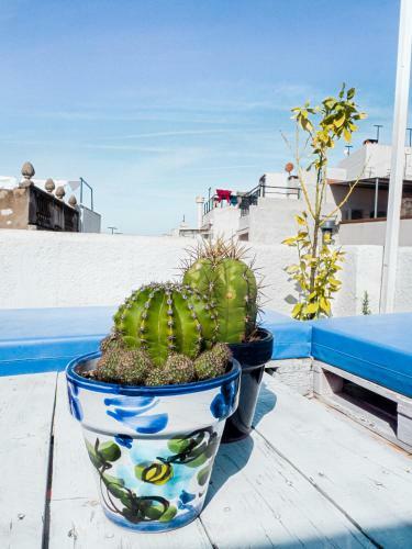 Apartamento Camar�a Castillo 2�