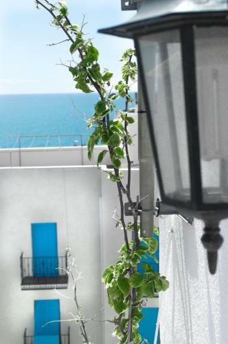 Apartamento Camar�a Castillo 2�