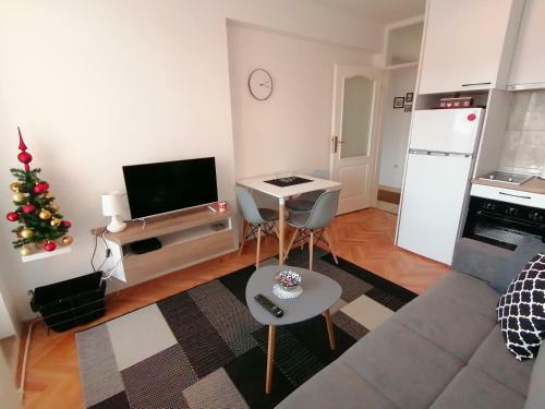 Apartment Igor