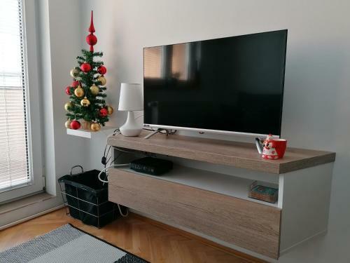 Apartment Igor