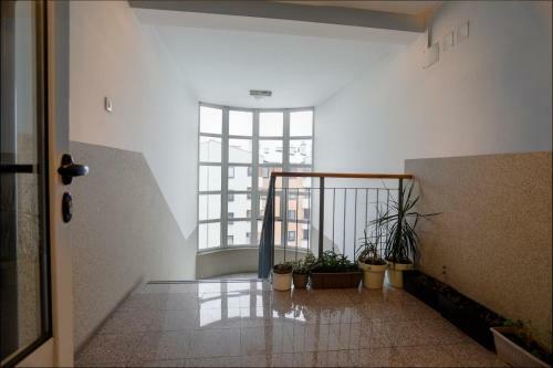 Apartment Igor