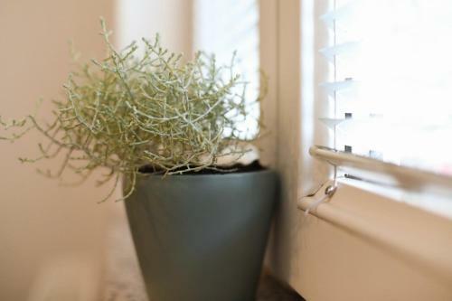 Apartment Igor