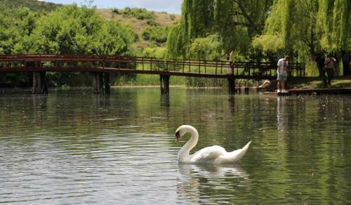 British Hotel Pogradec