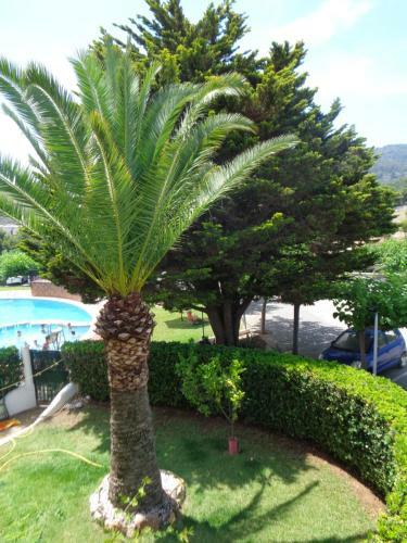 Apartamento Heco