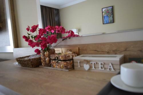Hostal Golden Palms Guest House & Cafe