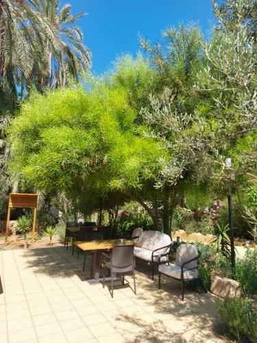 Hostal Golden Palms Guest House & Cafe
