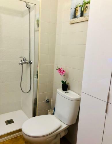 Apartamento Pe�ismar74