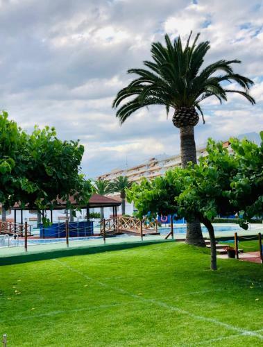 Apartamento Pe�ismar74