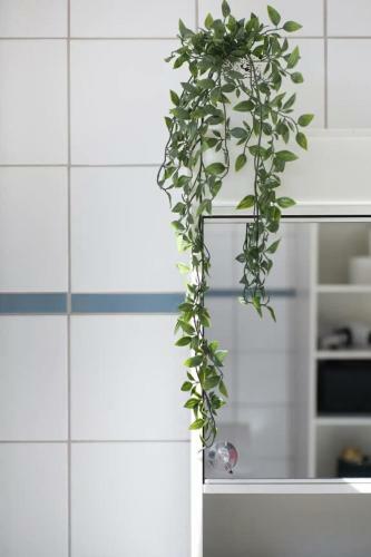 Bern Zwei Zimmer Im Jugendstilhaus Mit Garten