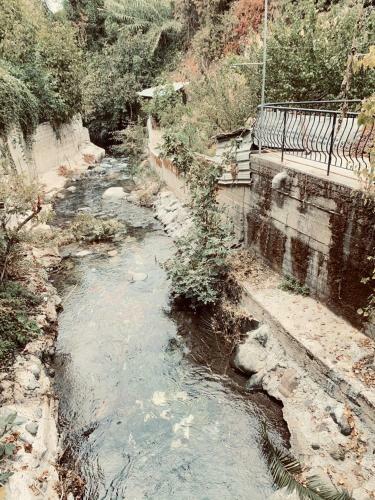 River Patio