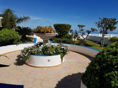 Apartamento Perla Blanca