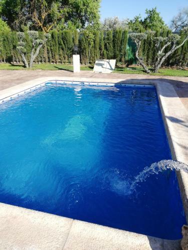 Villa Vega