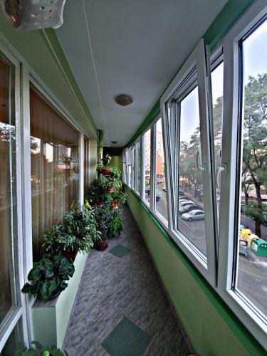 Apartamento ????