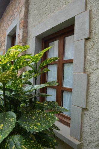 Apartamento Can Lloren�