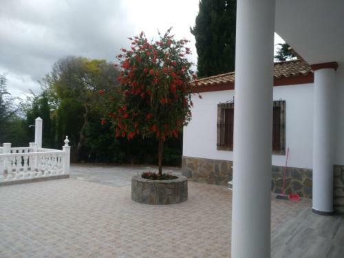 Los Tres Picos