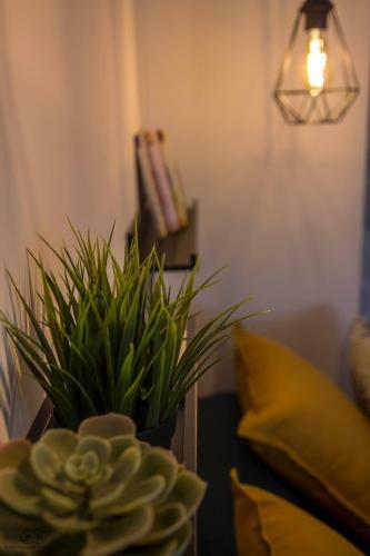 Apartamento T�ndem House