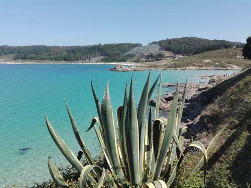 Apartamento �tico Nuevo "paraiso de Galicia"