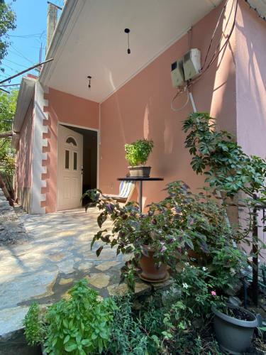 Apartamento Gkiko?s Guest House
