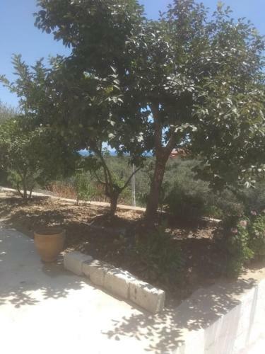 Hostal Vogklis House