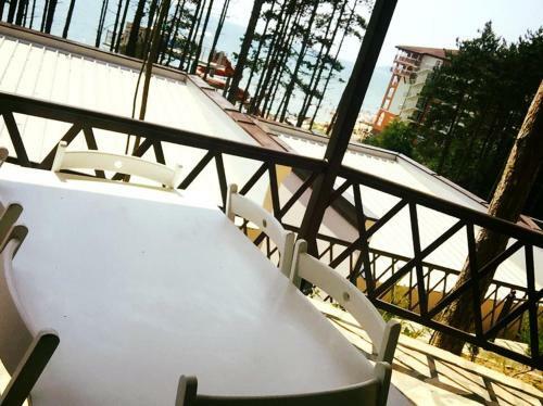 Dream View