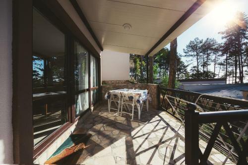 Dream View