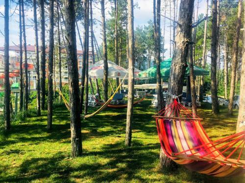 Dream View