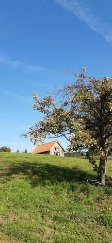 Boerderaaj Vakantiewoning