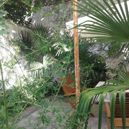 Apartamento Palmera